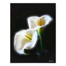 Den eleganta Callaliljan blommar modernt tryck 13 Fototryck
