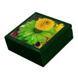 Den Fleur Verte minnessaken boxas