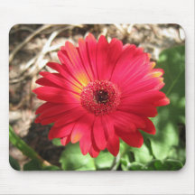 Den Gerber daisymusen vadderar Musmattor