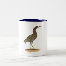 Den gröna heronen, eller petar (Ardeavirescens) Kaffe Koppar