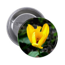 Den gula blomman knapp