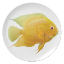 Den guld- fisken för den citronSeverum cichliden p Fest Tallrikar