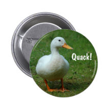 Den gulliga vitankan knäppas/emblem knapp med nål