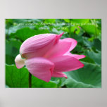 Den härliga lotusblommablomman med regnar tappar posters