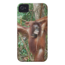Den härliga rödhårigorangutanen i pinup poserar iPhone 4 Case-Mate skal