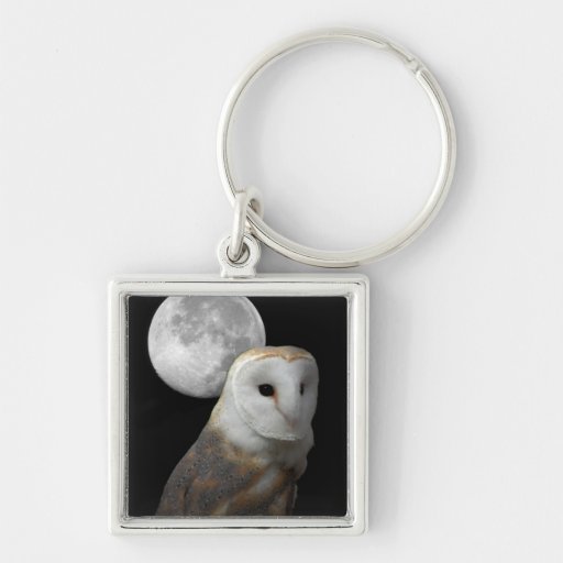 Den ladugårdugglan och månen kvadrerar Keychain Nyckelring