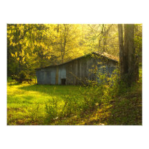 Den lantliga Tennessee vårmorgonen tänder Fototryck