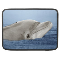 Den le delfinen sleeve för MacBook pro