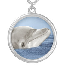 Den le delfinen smycken