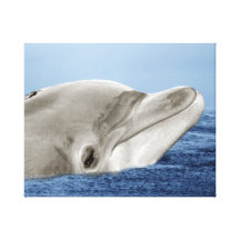 Den le delfinen sträckta canvas tryck