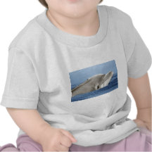 Den le delfinen t shirts