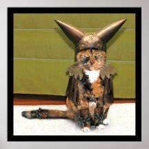 Den nordiska katten roas inte posters