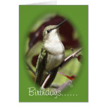 Den Perched kvinnliga hummingbirden skräddarsy någ Hälsningskort