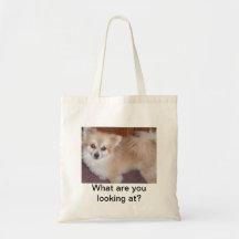 Den Pomeranian valptotot hänger lös Tygkassar