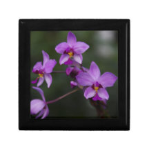 Den purpurfärgade Orchidgåvan boxas Presentförpackning