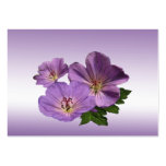 Den purpurfärgade pelargonen blommar ATC Visit Kort