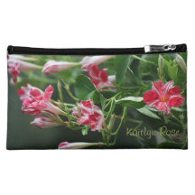 den röd och vitmandevillaen blommar skönhetsmedlet
