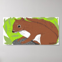 Den röda ekorren föreställer posters