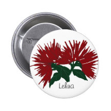Den röda Lehua blomman knäppas Knappar Med Nål