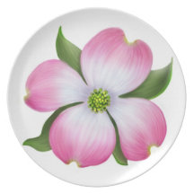 Den rosa Dogwoodblommigten pläterar Dinner Plate
