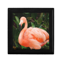 Den rosa flamingoen 5" gåvan boxas prydnadslådor
