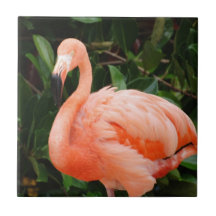 Den rosa flamingoen belägger med tegel keramiska plattor