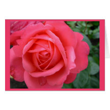 Den rosa kortrosan blommar det beställnings- hälsn
