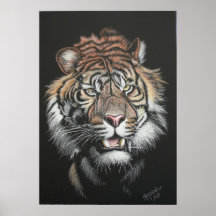 Den ryta tigern i skrapa stiger ombord posters