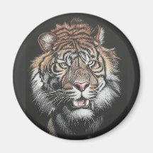 Den ryta tigern i skrapa stiger ombord kylskåpsnagnet