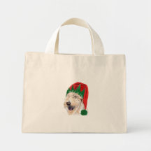 Den Santas hjälpredan Labradoodle hänger lös Kasse