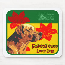 Den Sasketchewan Labrador musen vadderar Musmatta