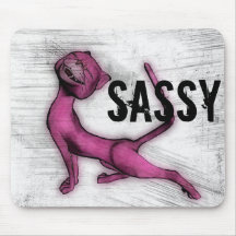 Den Sassy rosa kattmusen vadderar Musmatta