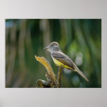 Den små fågeln Perched på fattar Posters