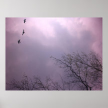 Den Soaring kicken är vår natur - Toronto öhimmel Affischer