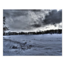 Den stora vitslätten fotokonst