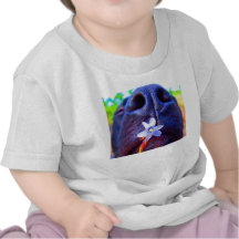Den svart lab blandningnäsan, lilla lilor blommar  t shirt