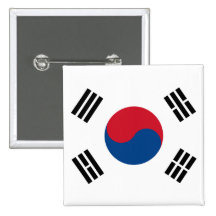 Den Sydkorea flagga knäppas Knapp Med Nål