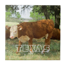 Den Texas kon landskap Kakel