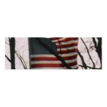 den verkliga amerikanutmärkelsen visitkort mallar