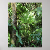 Den Wild hawaiibon gömma i handflatan Print