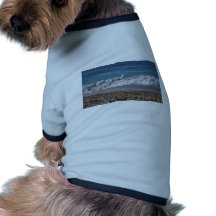 Denna är en fotografera av min favorit- strand så  hund tshirt