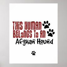 Denna människa hör hemma till en afghansk hund affischer