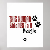 Denna människa hör hemma till en Beagle Posters