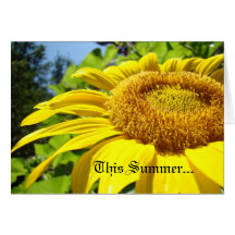 Denna sommar avverkar jag förälskat! Kortmeddeland