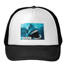 derp trucker kepsar
