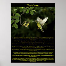 Desideratahummingbirden poster 3 affischer