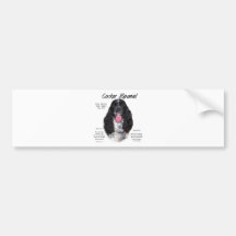 Design för historia för cockerspanielSpaniel (Part Bildekal