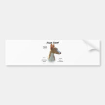 Design för Ibizan hundhistoria Bildekaler