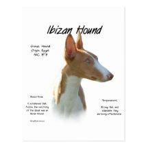 Design för Ibizan hundhistoria Vykort