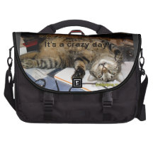 Det är en galen dag! messengers bag för laptops
